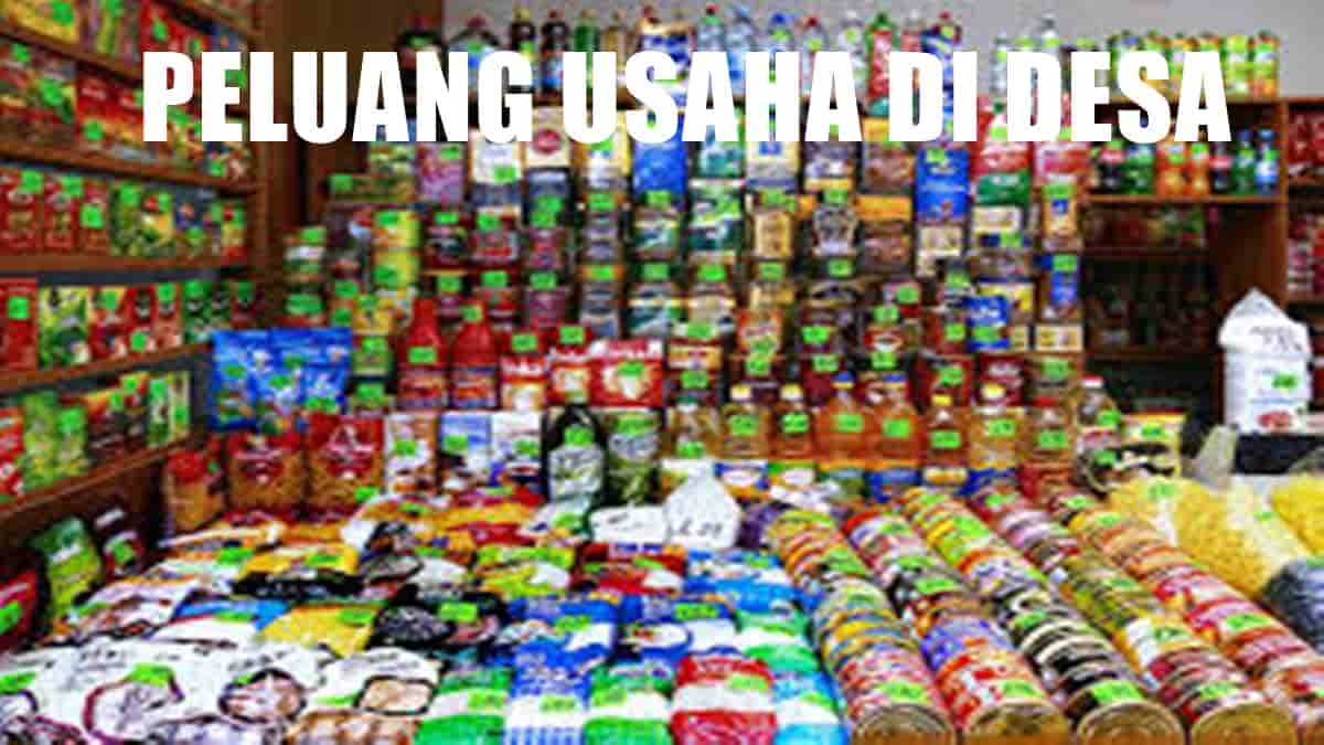 peluang usaha di desa yang potensial